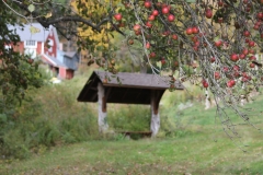 Fall time
