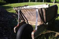 Grape cart
