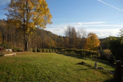 A look over our Vineyard